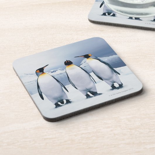 Drei König Pinguine Untersetzer (Linke Seite)