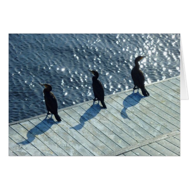 Drei Kormorane (Vorderseite (Horizontal))