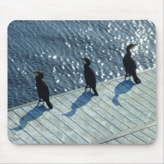 Drei Kormorane Mousepad