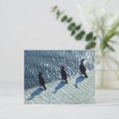 Drei Kormorane Postkarte (Stehend Vorderseite)