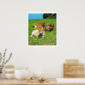 Drei Kühe aus Jersey Poster (Küche)