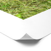 Drei Kühe aus Jersey Poster (Ecke)