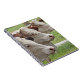 Drei Kühe in einem Roh-Notebook Notizblock (Rechte Seite)