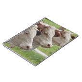 Drei Kühe in einem Roh-Notebook Notizblock (Linke Seite)