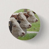 Drei Kühe in einer Row-Taste Button (Vorderseite)