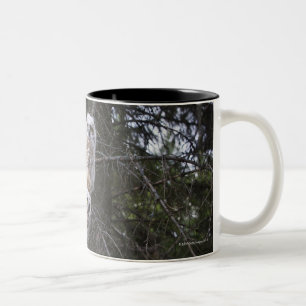 Drei Küken des Virginia-Uhu-(Bubo Virginianus) Zweifarbige Tasse