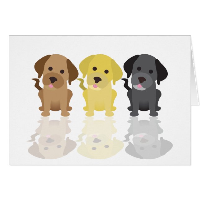 Drei Labrador-Retriever (Vorderseite (Horizontal))