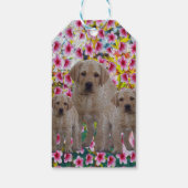 Drei Labrador Welpen Öl gestrichen, Geschenkanhänger (Rückseite)