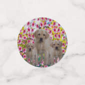 Drei Labrador Welpen Öl gestrichen, Konfetti (Klein Vorderseite)