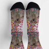 Drei Labrador Welpen Ölfarbe, Crew Socken (Oben)