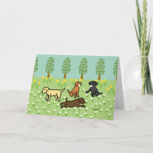 Drei Labradors mit Frühlingsblumen Karte