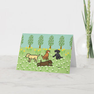 Drei Labradors mit Frühlingsblumen Karte