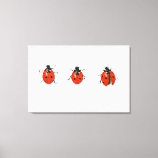 Drei Ladybirds 2013 Leinwanddruck (Vorderseite)
