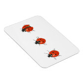 Drei Ladybirds 2013 Magnet (Rechte Seite)