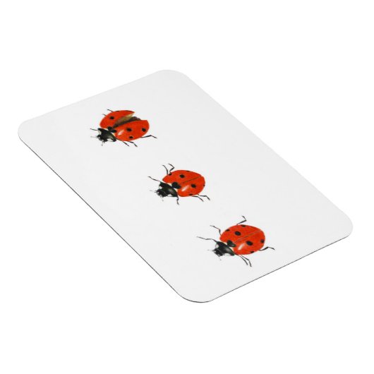 Drei Ladybirds 2013 Magnet (Rechte Seite)