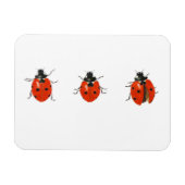 Drei Ladybirds 2013 Magnet (Horizontal)