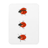 Drei Ladybirds 2013 Magnet (Vertikal)