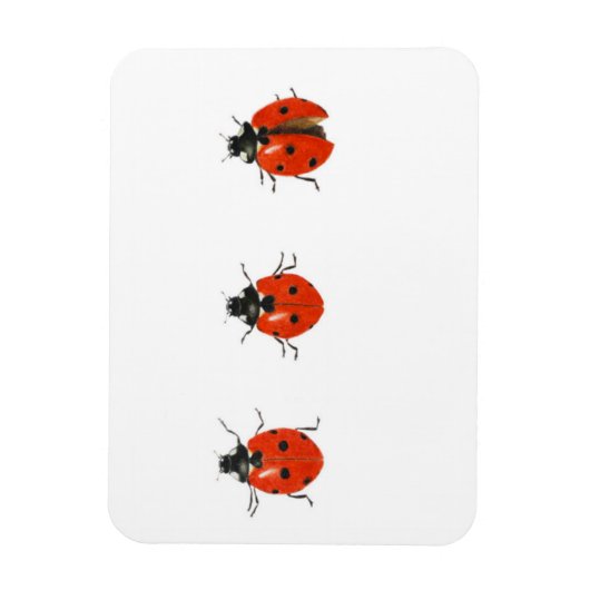 Drei Ladybirds 2013 Magnet (Vertikal)