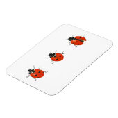 Drei Ladybirds 2013 Magnet (Linke Seite)