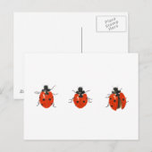 Drei Ladybirds 2013 Postkarte (Vorne/Hinten)