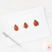 Drei Ladybirds 2013 Rechteckiger Aufkleber (Umschlag)
