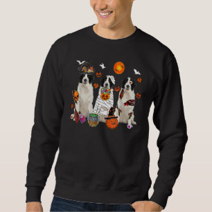 Drei Landseer Hunde Hexe Gruselige Mumie Halloween Sweatshirt