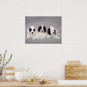 Drei Landseer Welpen Poster (Küche)