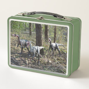 Drei laufende Dinosaurier Lunchbox