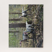 Drei laufende Dinosaurier-Puzzle Puzzle (Vertikal)