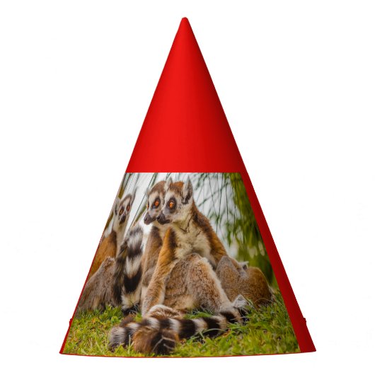 drei Lemuren auf Party Hat Partyhütchen (Vorderseite)