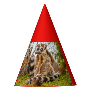 drei Lemuren mit Partyhut