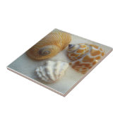 Drei Little Beach Muscheln Keramik Tile Fliese (Seite)
