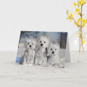 Drei Löcher im Schnee Karte (Gelbe Blume)