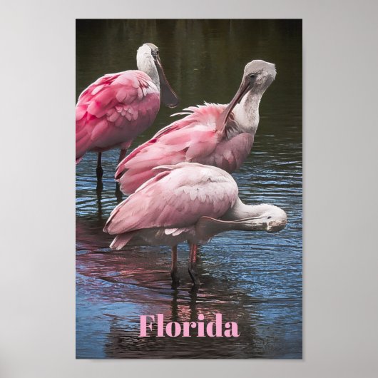 "Drei Löffler" Poster (Vorne)