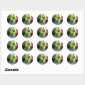 Drei Lorikeets Runder Aufkleber (Blatt)