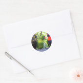 Drei Lorikeets Runder Aufkleber (Umschlag)