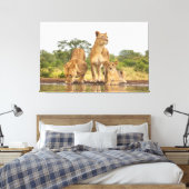 Drei Löwen trinken Leinwanddruck (Insitu (Schlafzimmer))