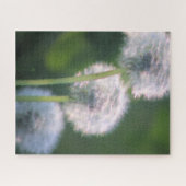 Drei Löwenblüten Puzzle (Horizontal)