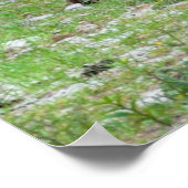 Drei majestätische Pferde Poster (Ecke)