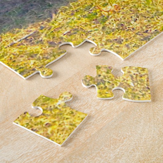 Drei männliche Truthühner in der Hitze und ein Dam Puzzle (Seite)