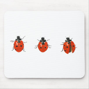 Drei Marienkäfer 2013 Mousepad