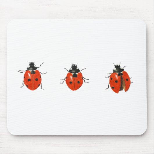 Drei Marienkäfer 2013 Mousepad (Vorne)