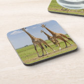 drei Masaigiraffen, Giraffa camelopardalis Untersetzer (Linke Seite)