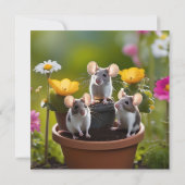 drei Mäuse in Blume Pots, (Rückseite)