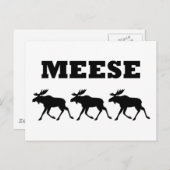 Drei Meese lustig Postkarte (Vorne/Hinten)