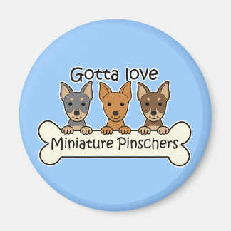 Drei Miniaturpinschers Magnet