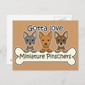 Drei Miniaturpinschers Postkarte (Vorne/Hinten)