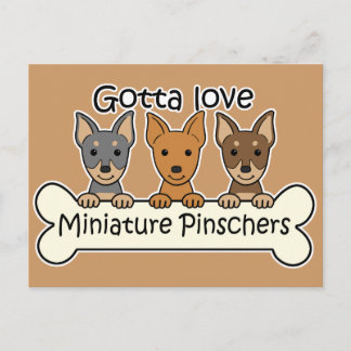 Drei Miniaturpinschers Postkarte