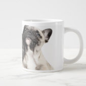 Drei Mops Welpen Jumbo-Tasse (Rechts)