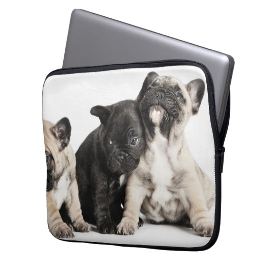 Drei Mops Welpen Laptopschutzhülle (Vorderseite Links)